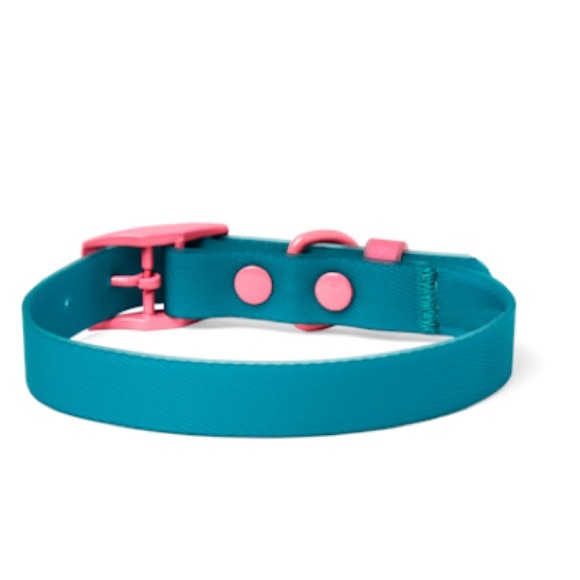 YOULY The Extrovert Water-Resistant Teal & Pink Colorblocked Dog Collar - Picture 2 of 3
